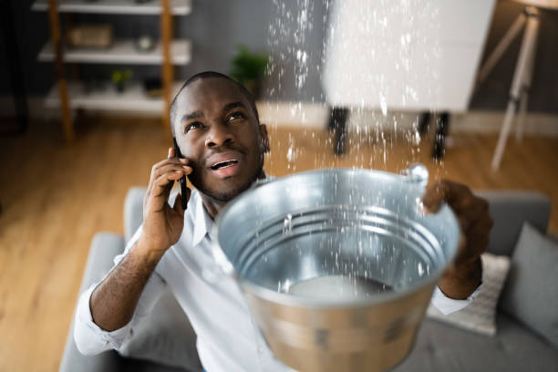Best Flooded house restoration  in Beecher, MI