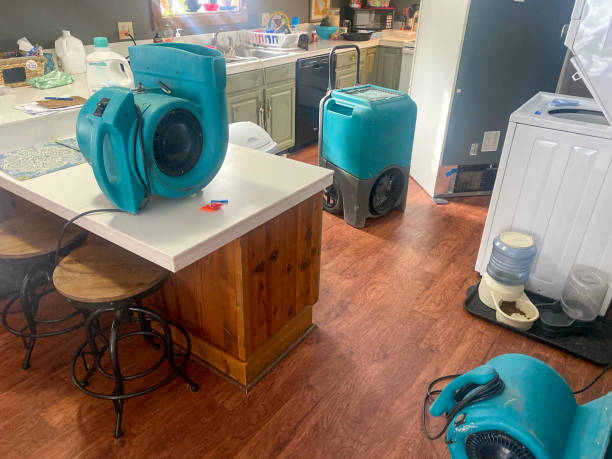 Best Water damage restoration insurance claims  in Beecher, MI
