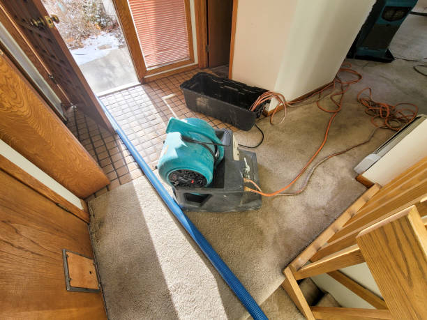 Best Water damage mitigation services  in Beecher, MI