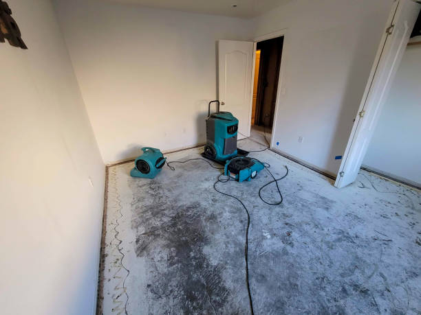  Beecher, MI Water damage restoration Pros