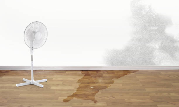 Best Water damage repair service  in Beecher, MI