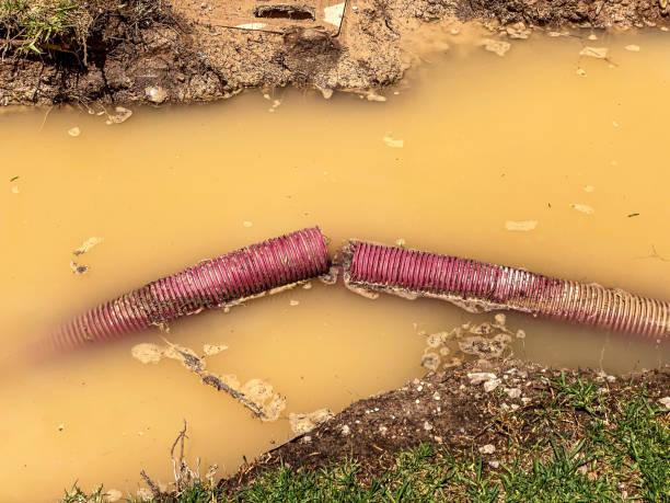 Best 24-hour water damage restoration  in Beecher, MI
