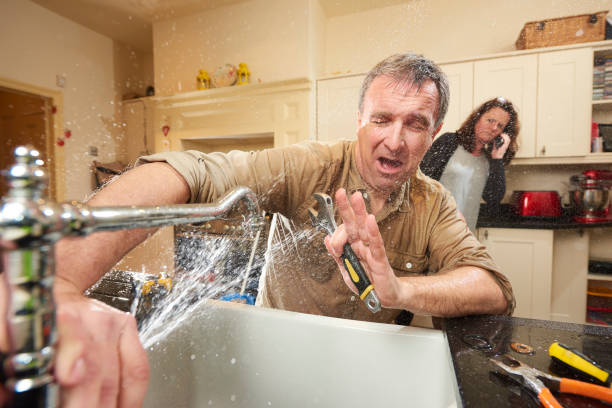 Best Carpet water damage restoration  in Beecher, MI